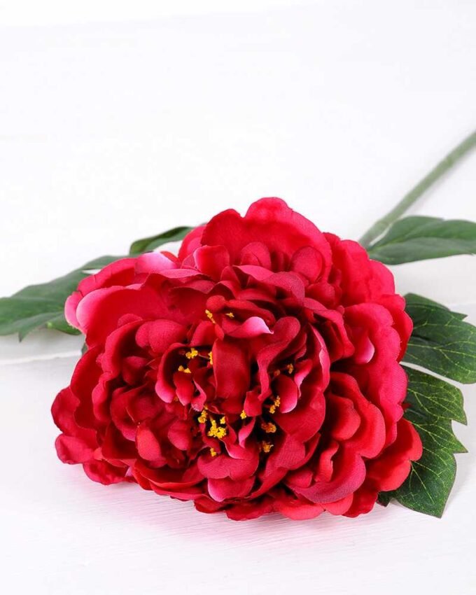 20*60cm Single peony GS-0690402-R2 2 20*60cm Single peony GS-0690402-R2