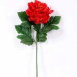 20*60cm Single peony GS-0690402-R3