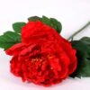 20*60cm Single peony GS-0690402-R3 2 20*60cm Single peony GS-0690402-R3