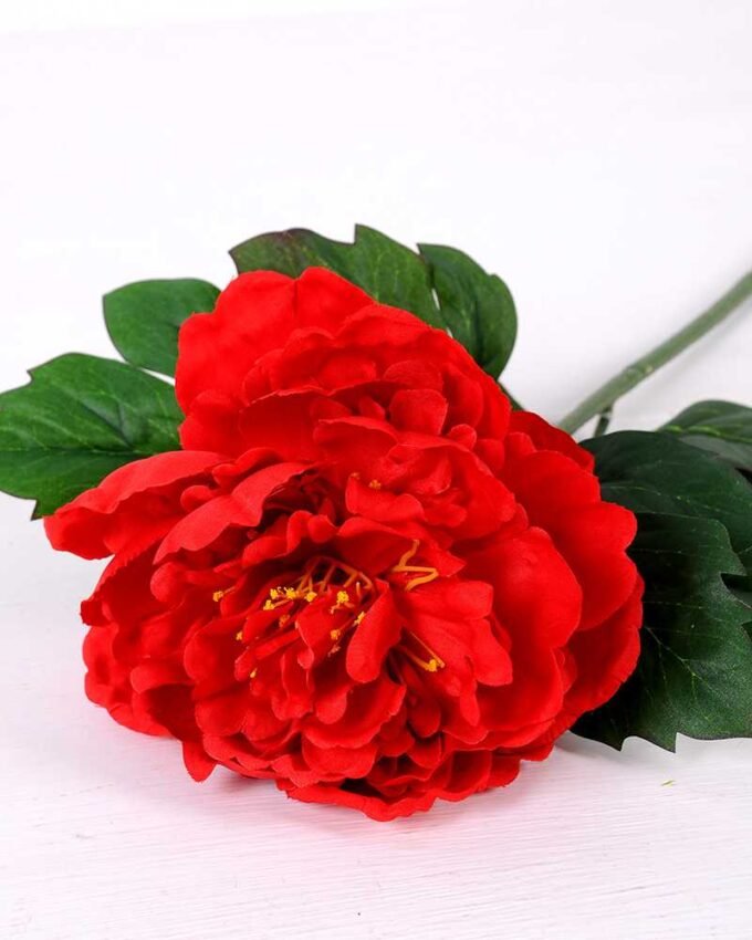 20*60cm Single peony GS-0690402-R3 2 20*60cm Single peony GS-0690402-R3