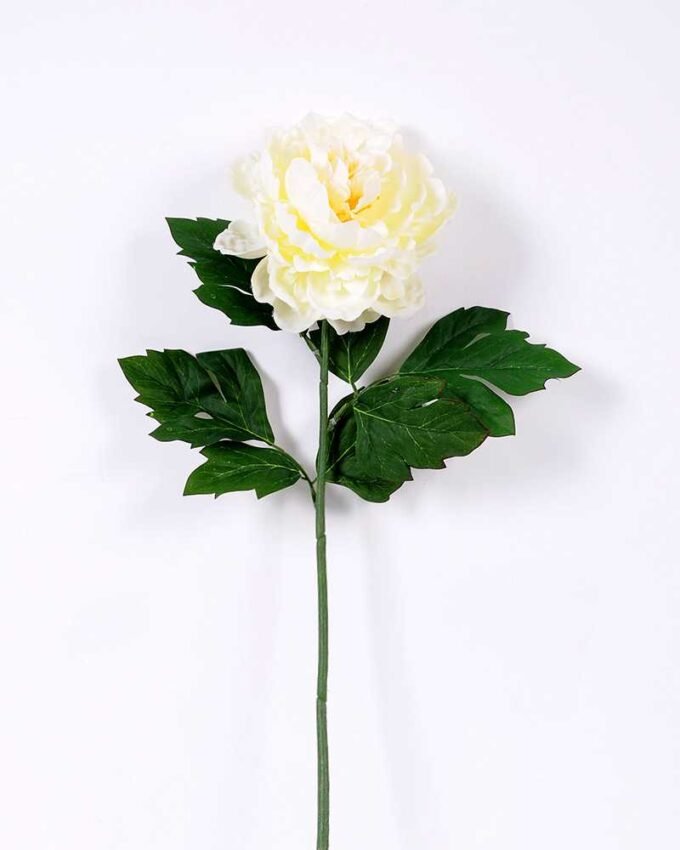 20*60cm Single peony GS-0690402-W2