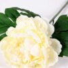 20*60cm Single peony GS-0690402-W2