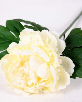 20*60cm Single peony GS-0690402-W2