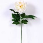 20*60cm Single peony GS-0690402-W3