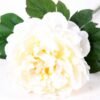 20*60cm Single peony GS-0690402-W3