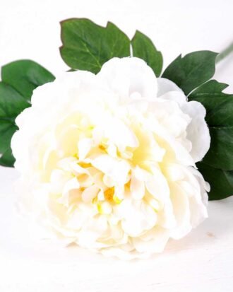 20*60cm Single peony GS-0690402-W3