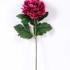 20*60cm Single peony GS-0690402-Z1