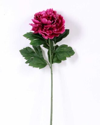 20*60cm Single peony GS-0690402-Z1