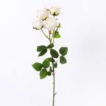 12*48cm small head maelle*4 GS-0690403-C1