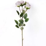 12*48cm small head maelle*4 GS-0690403-S1