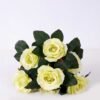 24*30cm ROSE BUSH*7 GS-0690405-G1