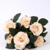 24*30cm ROSE BUSH*7 GS-0690405-P1
