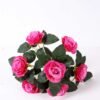 24*30cm ROSE BUSH*7 GS-0690405-P3