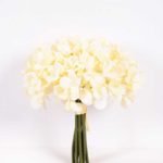 18*22cm  Hydreagea bush GS-0690406-W1