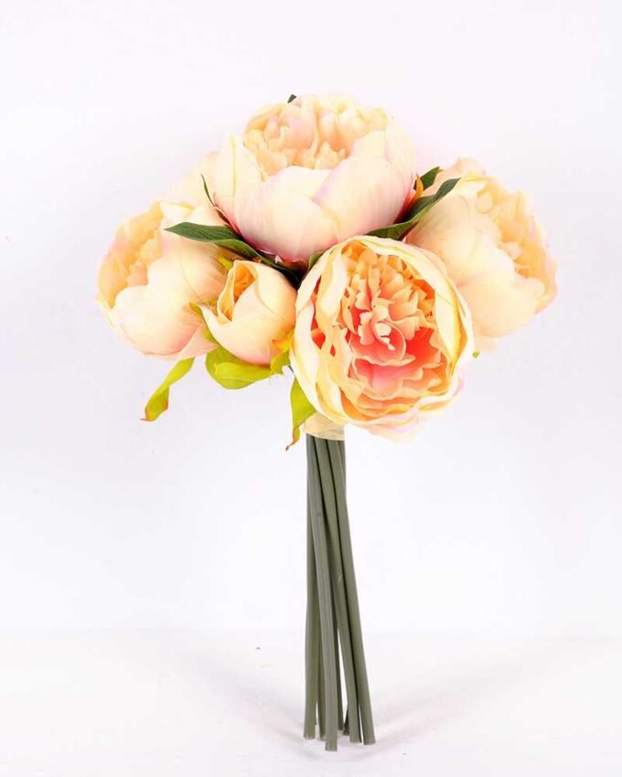 21*30cm Subshrubby peony Bush GS-0690407-C1