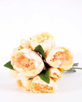 21*30cm Subshrubby peony Bush GS-0690407-C1