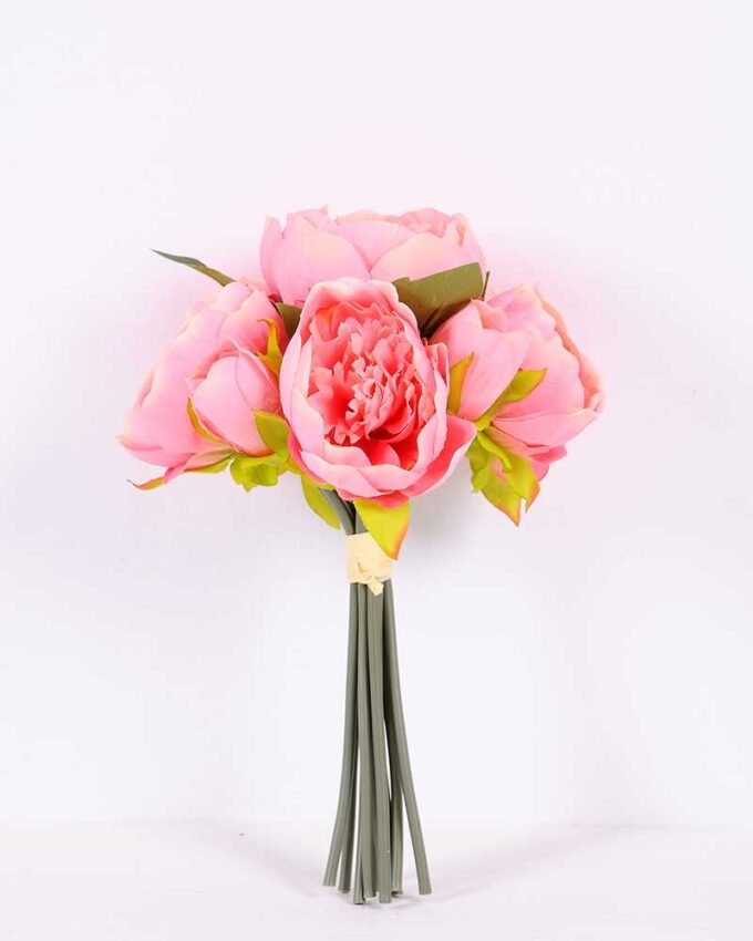 21*30cm Subshrubby peony Bush GS-0690407-P1