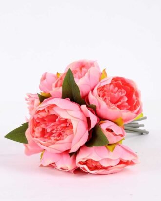 21*30cm Subshrubby peony Bush GS-0690407-P1