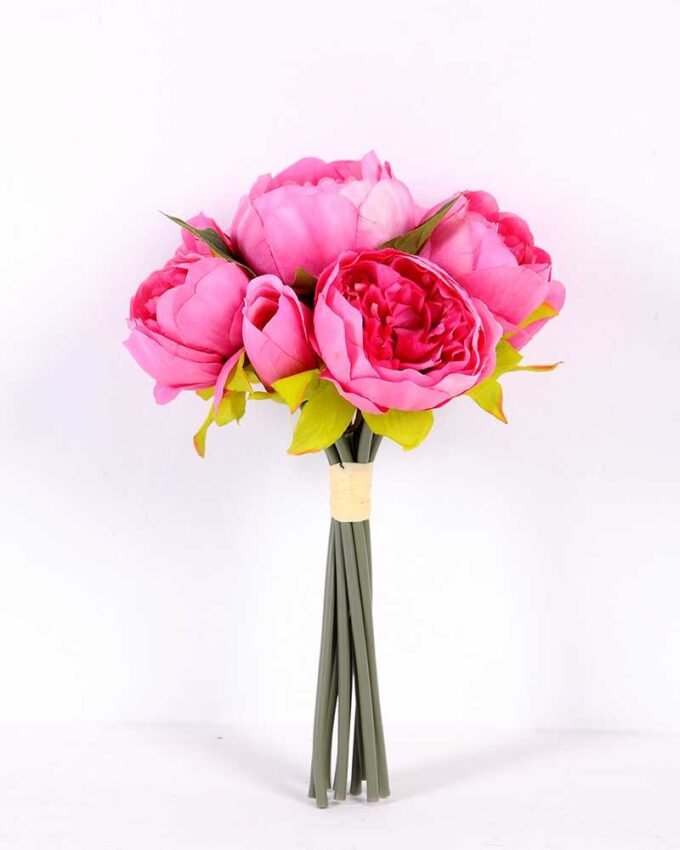 21*30cm Subshrubby peony Bush GS-0690407-R1