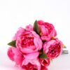 21*30cm Subshrubby peony Bush GS-0690407-R1
