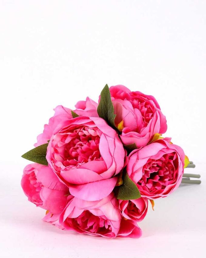 21*30cm Subshrubby peony Bush GS-0690407-R1