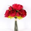 21*30cm Subshrubby peony Bush GS-0690407-R2
