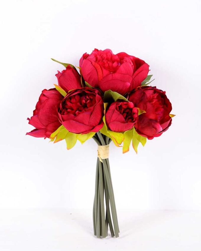 21*30cm Subshrubby peony Bush GS-0690407-R2