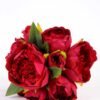 21*30cm Subshrubby peony Bush GS-0690407-R2