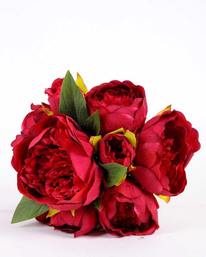 21*30cm Subshrubby peony Bush GS-0690407-R2