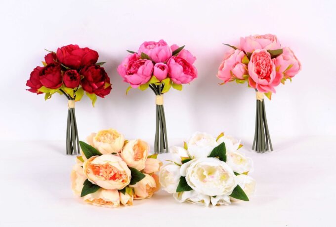 21*30cm Subshrubby peony Bush GS-0690407-R2