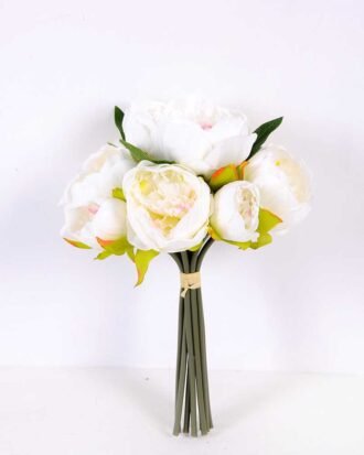 21*30cm Subshrubby peony Bush GS-0690407-W1