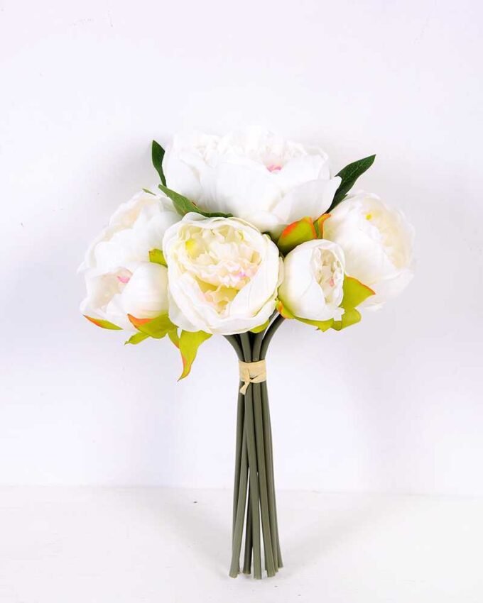 21*30cm Subshrubby peony Bush GS-0690407-W1