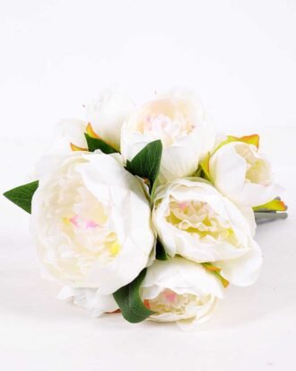 21*30cm Subshrubby peony Bush GS-0690407-W1