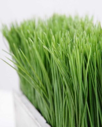 25*18cm Straight straw bonsai GS-0690414