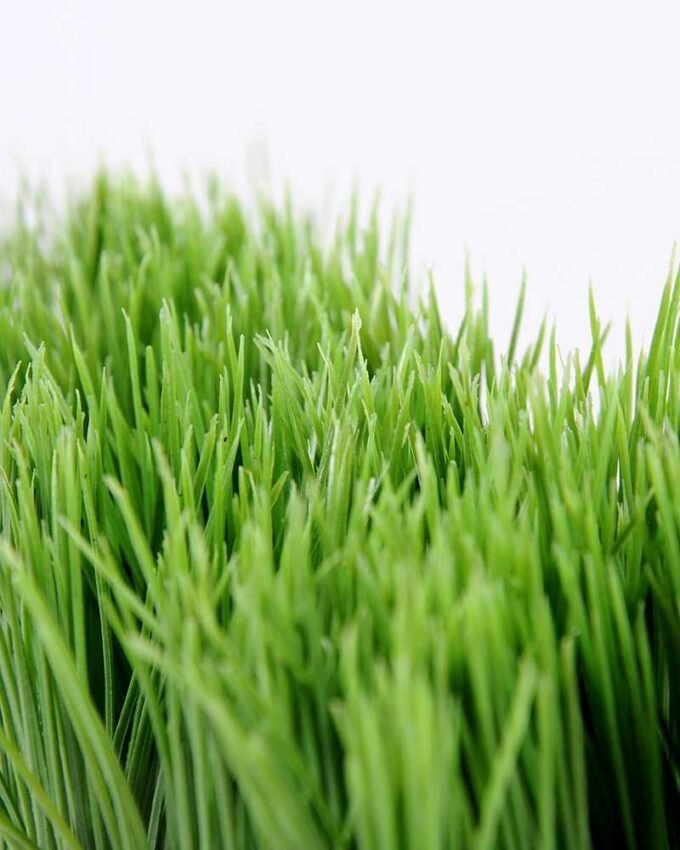 25*18cm Straight straw bonsai GS-0690414