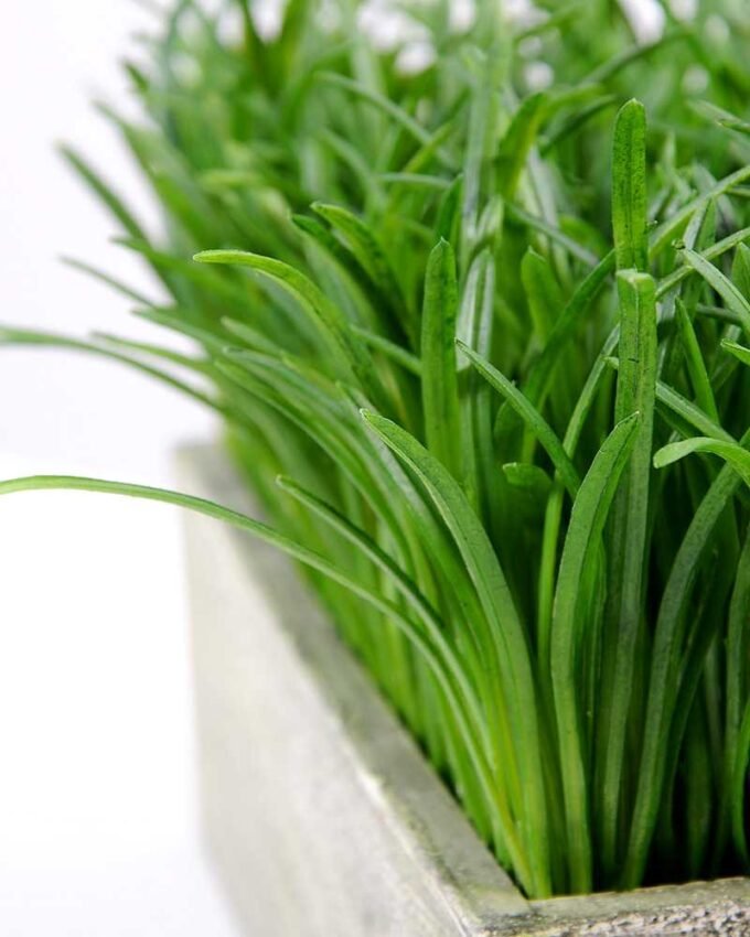 25*18cm Wide straw bonsai GS-0690415