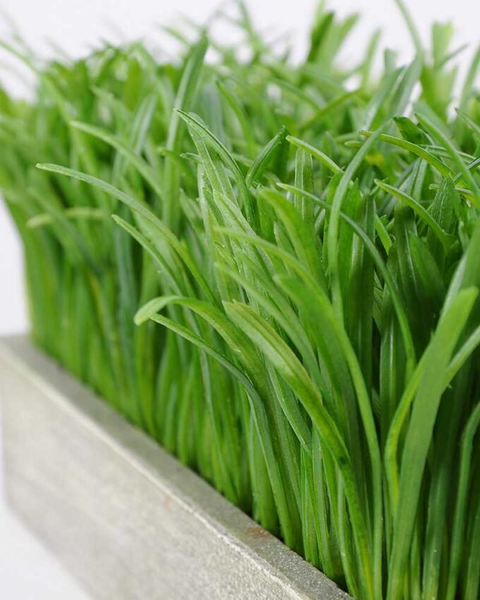 30 30.5*15cm Wide straw bonsai GS-0690416