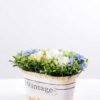 25*16cm New Milan grass tin rose bonsai GS-0690420 6 25*16cm New Milan grass tin rose bonsai GS-0690420