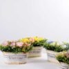 25*16cm New Milan grass tin rose bonsai GS-0690420 1 25*16cm New Milan grass tin rose bonsai GS-0690420