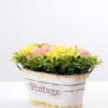 25*16cm New Milan grass tin rose bonsai GS-0690420 5 25*16cm New Milan grass tin rose bonsai GS-0690420