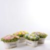 30*18cm New Milan grass tin rose bonsai GS-0690421 1 30*18cm New Milan grass tin rose bonsai GS-0690421