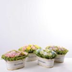 30*18cm New Milan grass tin rose bonsai GS-0690421