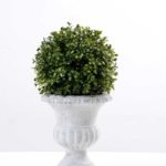 13*23cm  Multi hemisphere basin of melon seeds GS-0690422