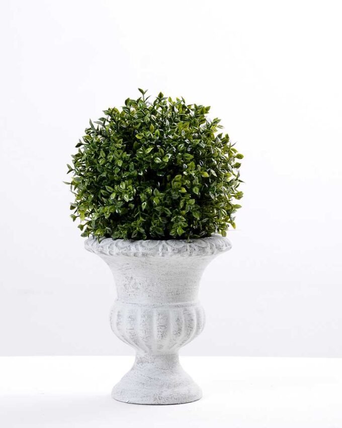 13*23cm  Multi hemisphere basin of melon seeds GS-0690422