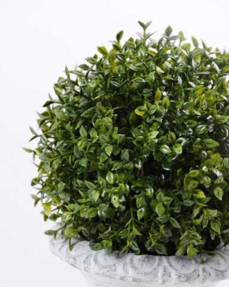 13*23cm  Multi hemisphere basin of melon seeds GS-0690422