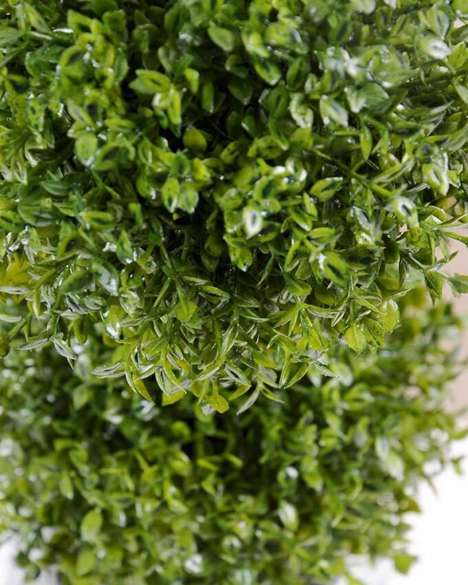 14*43cm Melon seeds and grass double ball bonsai GS-0690424