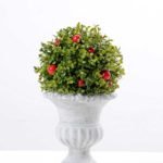 13*23cm The grass seeds red multi hemisphere Basin GS-0690425