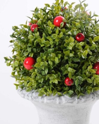 13*23cm The grass seeds red multi hemisphere Basin GS-0690425