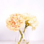23*21CM Hydrangea flowers in   Glass ware GS-0690428