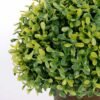 20*27cm New Milano Grass Mostly Holy Grail  in  Paper Pulp Pot GS-0690439